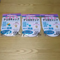 デリカキャップ 2095 女性用 3個セット食品用 衛生帽子 — image 1