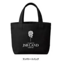 JSB LAND アプグレグッズ　ランチバッグ — image 1