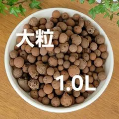 入荷‼️新品JONGKIND ハイドロボール大粒1.0L — image 1