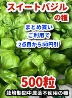 プロフ必見CTMRI※月〜水発送予定様 リクエスト 3点 まとめ商品 — image 1