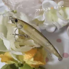 家の古めの箱から出てきました☆ 　　　　フラッシュな✨ミノー⭐ — image 1