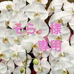 こちらは、そら。様専用です❣️ — image 1