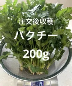 新鮮　パクチー　200g以上 — image 1
