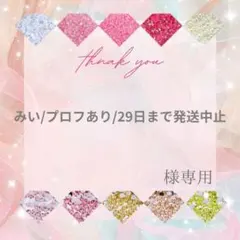 みい/プロフあり/29日まで発送中止様 — image 1