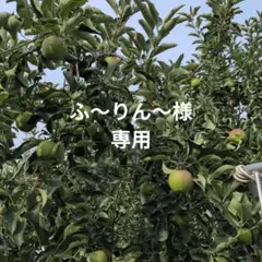 ふ〜りん〜様専用 — image 1
