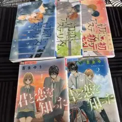 吉永ゆう作品　君と恋を知った、初恋アステリズム — image 1