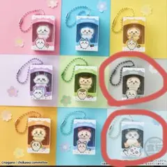 ちいかわ チョコボックス あのこ ラッコ — image 1