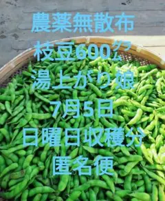 【農薬無散布】枝豆600 湯上がり娘 7月5日 日曜日　収穫分 匿名便ネコポス — image 1