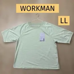 FieldCore 五分袖 ボーダー Tシャツ LLサイズ — image 1
