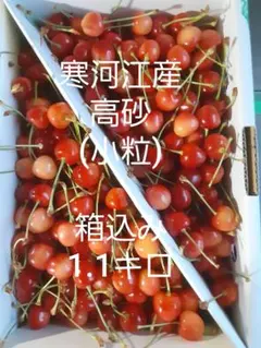 T-14 寒河江産 　高砂(小粒)　箱込み1.1キロ — image 1