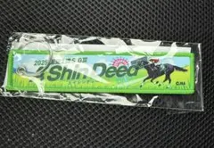函館競馬場 エイシンディード オリジナル フライトタグ JRA — image 1
