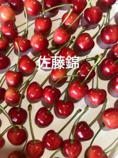 佐藤錦 — image 1