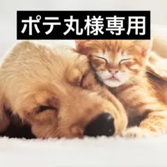 ポテ丸様専用 — image 1