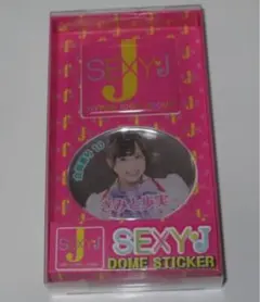 きみの歩美　きみと歩実　SEXY-J ドームステッカー — image 1