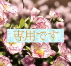 専用 — image 1