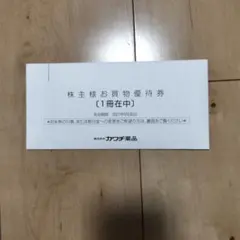 カワチ薬品　株主買物優待券　5000円 — image 1