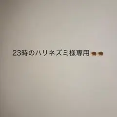 23時のハリネズミ様 専用 — image 1