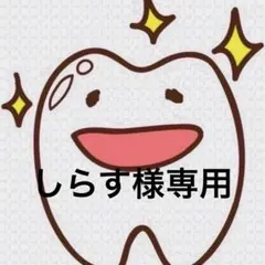 しらす様専用ページ 歯ブラシ — image 1