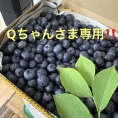 Qちゃんさま専用です‼️ — image 1