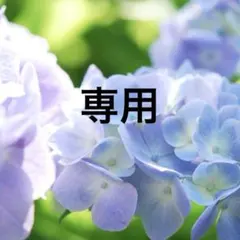 かず様専用 — image 1