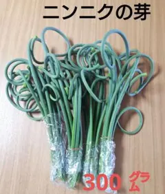 ニンニクの芽　300グラム — image 1