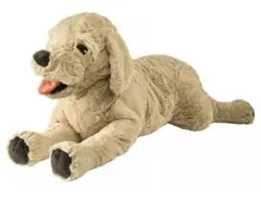 IKEA GOSIG GOLDEN ゴールデンレトリバー❗️最終お値下げ❗️ — image 1