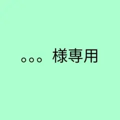 。。。様専用 — image 1