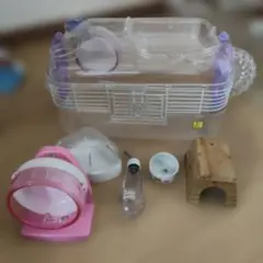 ハムスター　スターターセット　グラスハーモニー — image 1