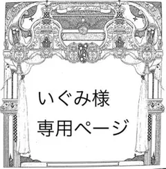 いぐみ様専用ページ — image 1