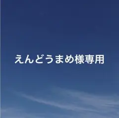 えんどうまめ様　専用ページ — image 1