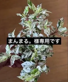 メルカリ便変更代金 — image 1