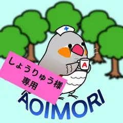 しょうりゅう様専用 — image 1