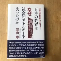 日本の若者はなぜ社会的エネルギーを失ったのか — image 1