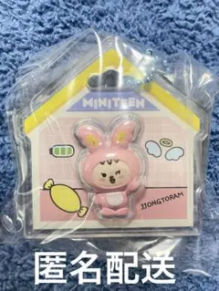 セブチ　ミニティーンMINITEEN パッケージチャーム&グミ ジョンハン — image 1