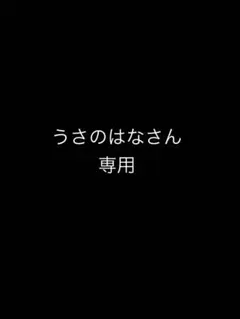 うさのはなさん専用　ジャンクゲーム機 — image 1