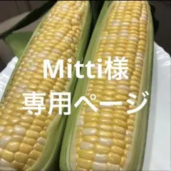 Mitti様専用ページ — image 1