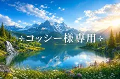 ヨッシー様専用 — image 1