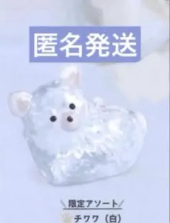 うちの子のけだまだま　犬　チワワ（白）　シープラ 限定 — image 1