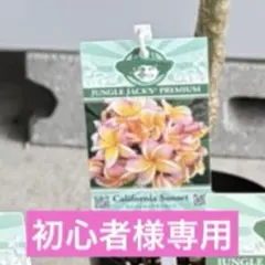 初心者様専用 — image 1