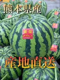 熊本県産　羅王ザ・スイート　1玉　10kg以上 — image 1