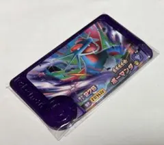 ポケモン　フレンダ　ボーマンダ　ゼット技　スーパートレジャー　1 — image 1