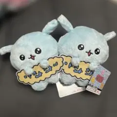 チェゴシム　メッセージ付きぬいぐるみ　いぬゴシム — image 1