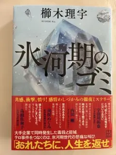 氷河期のゴミ — image 1