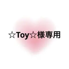 ☆Toy☆様専用 — image 1