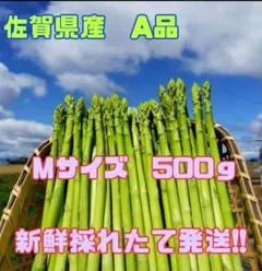 Мサイズ　グリーンアスパラガス500g — image 1