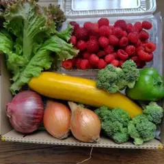 お野菜セット　コンパクト便　ラズベリー付き — image 1