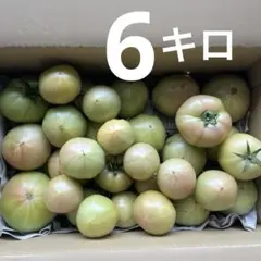本日ラスト‼︎ 北海道産　訳あり品　桃太郎トマト　6キロ③ — image 1