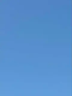 えりちん様 — image 1