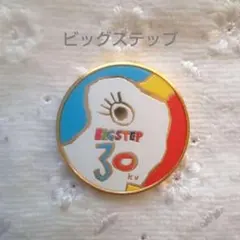 〈6190〉記念メダル ビッグステップ／30th — image 1