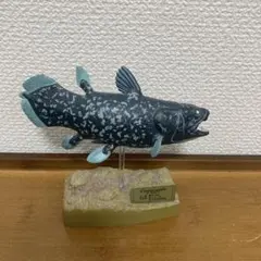 【希少】カロラータ　シーラカンス フィギュア — image 1